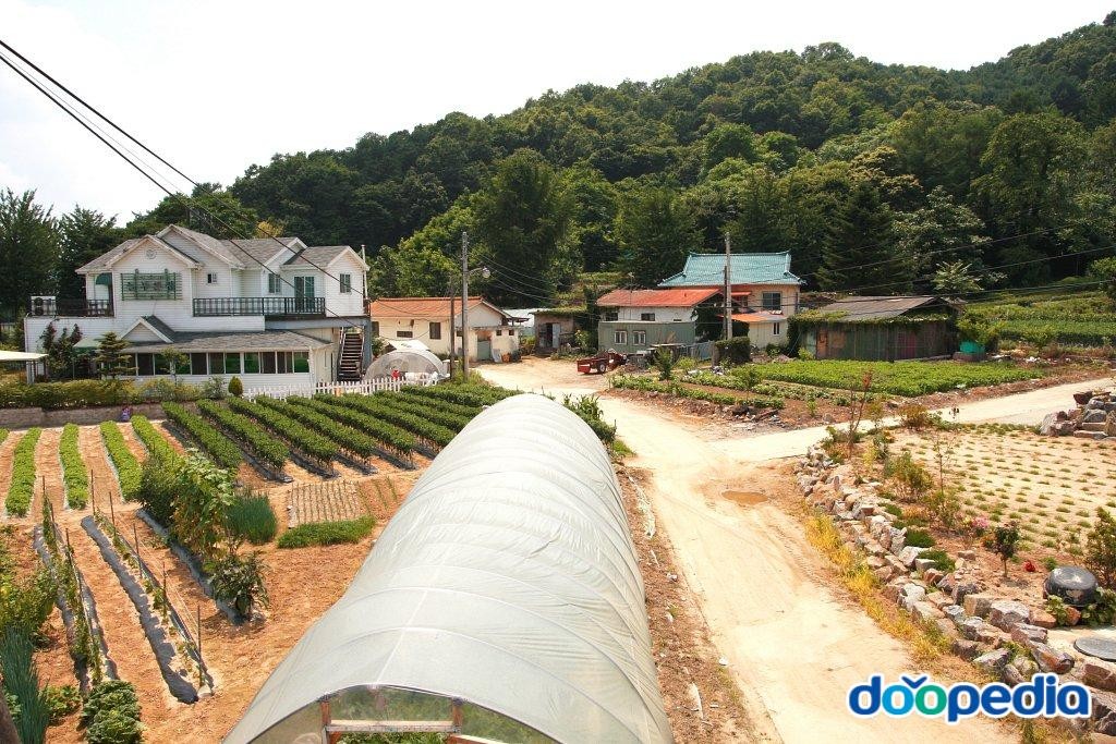 매산리