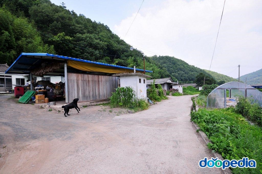 차당리