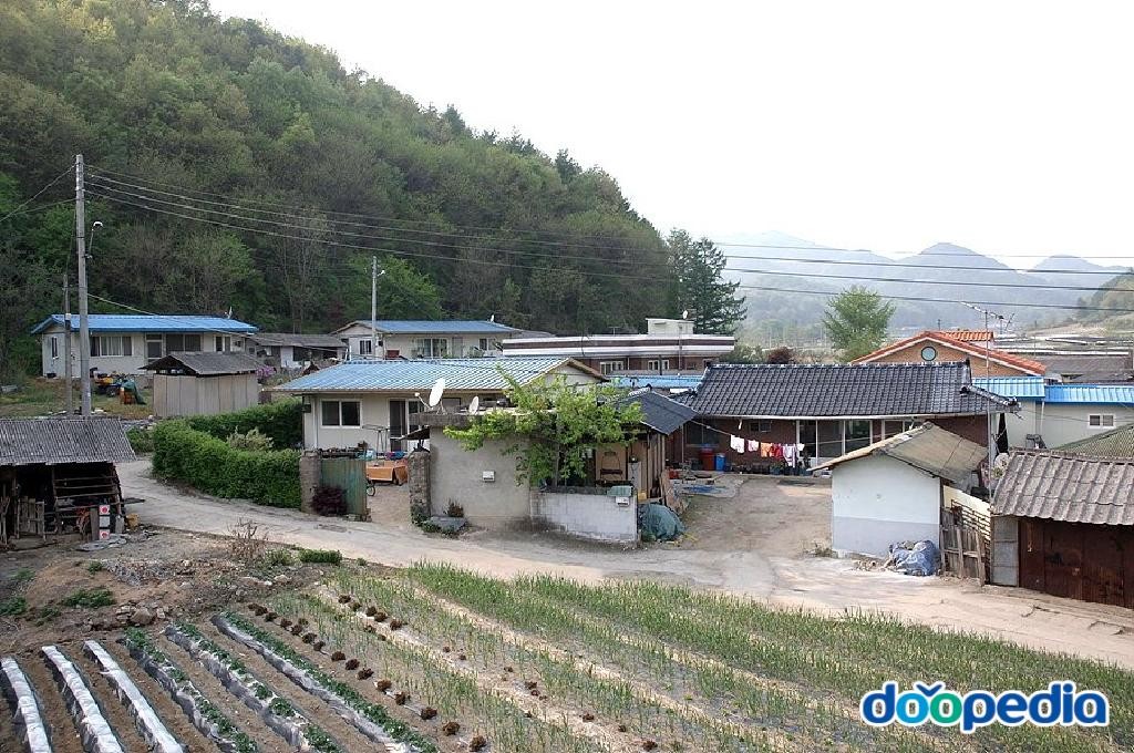 운교리