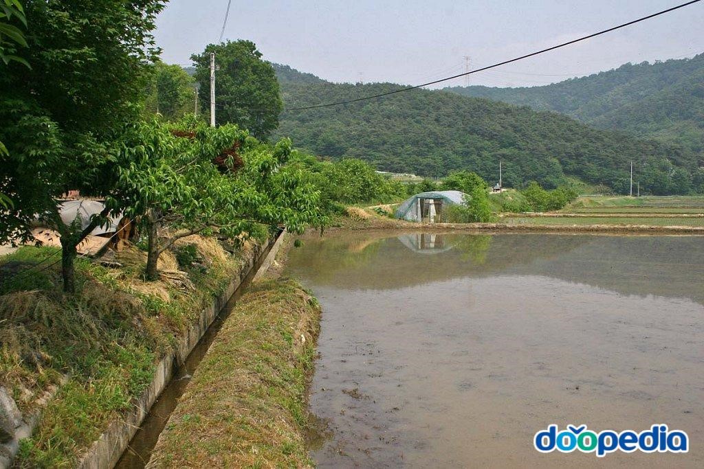 부성리