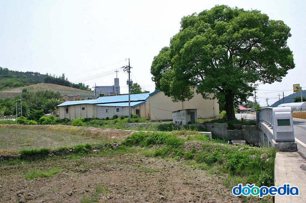 상오리