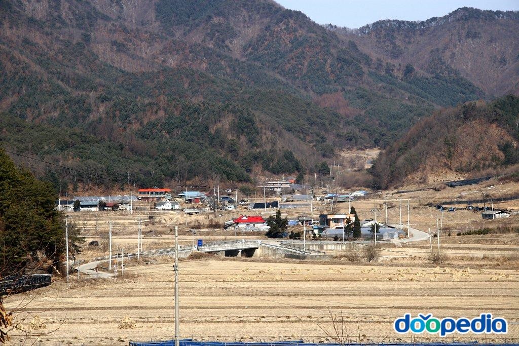 신대리