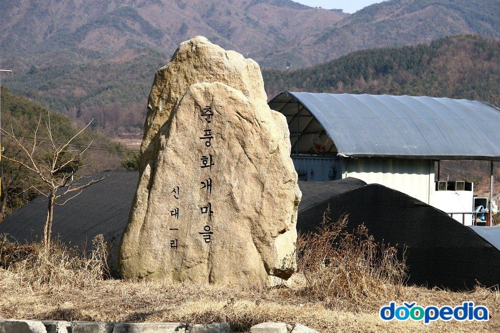신대리