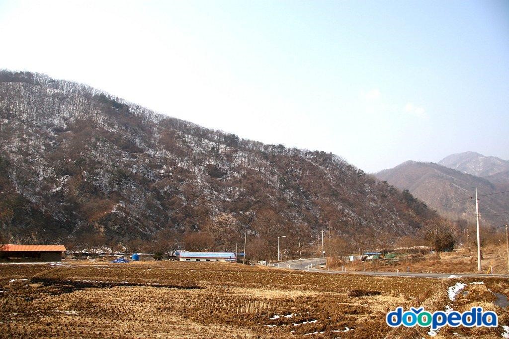 장항리