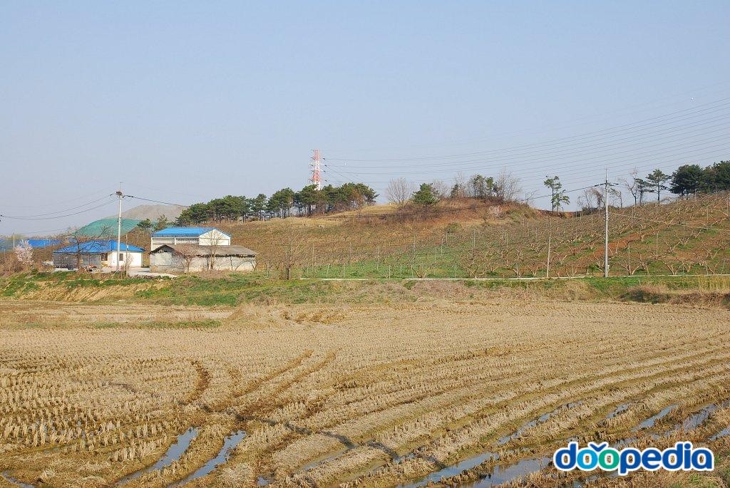 신능리 - 신능리 전경