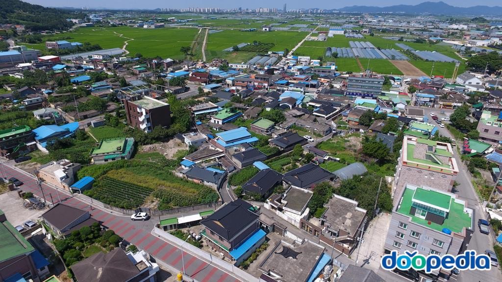 동사리