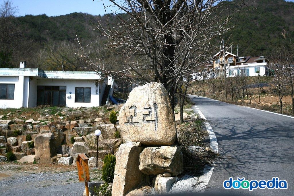 교리