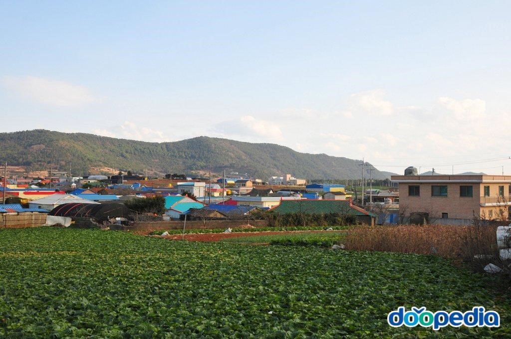 신리