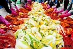 김장 소 채우기