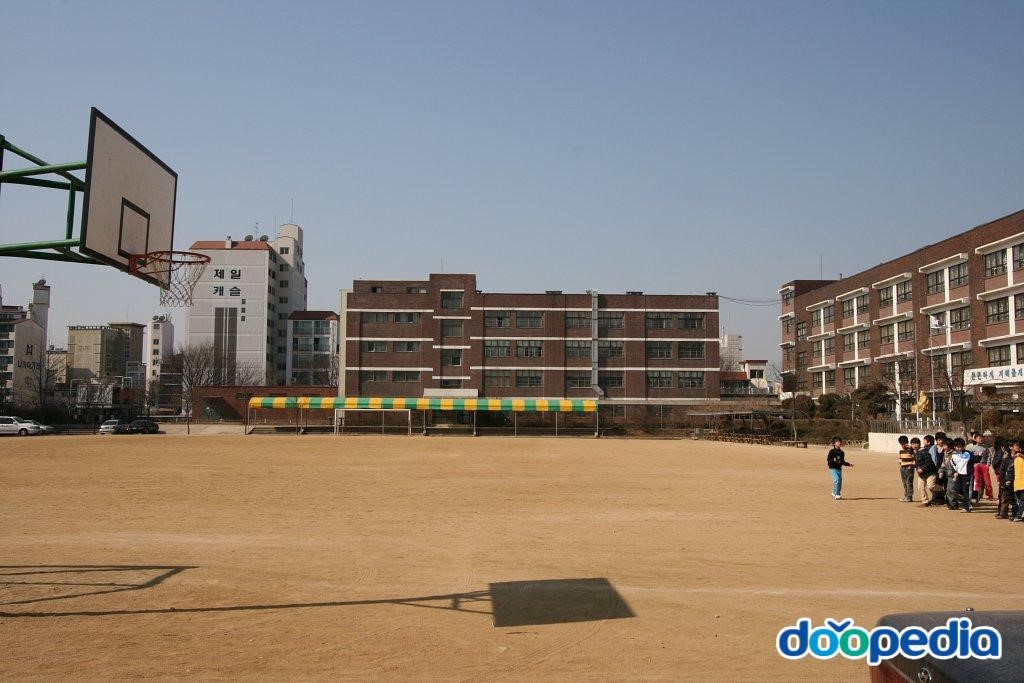 서울양강초등학교