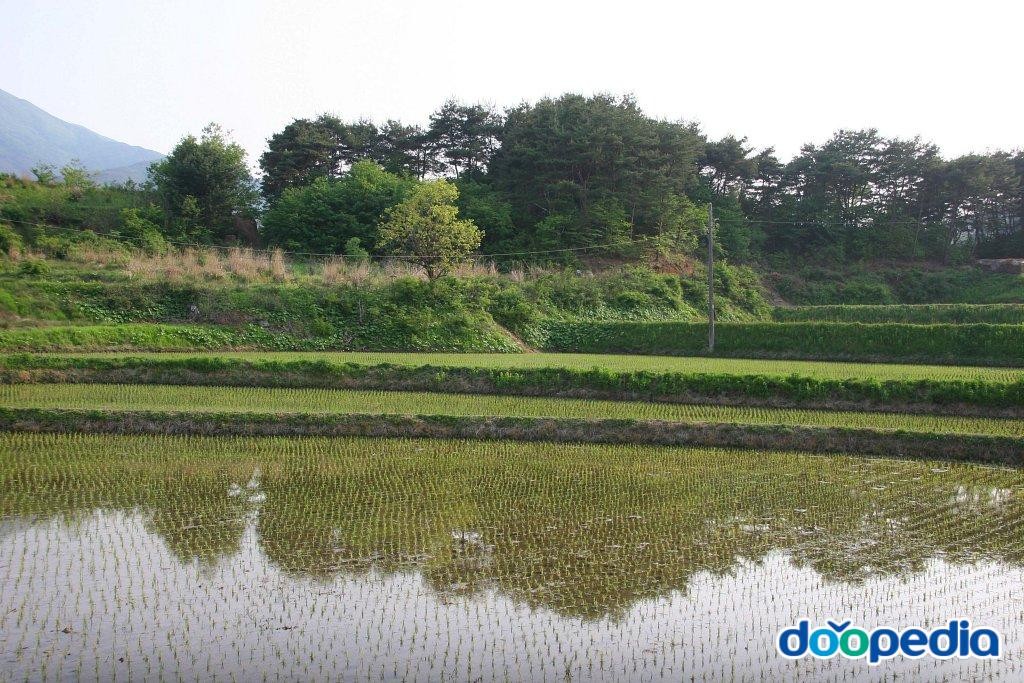 서무리
