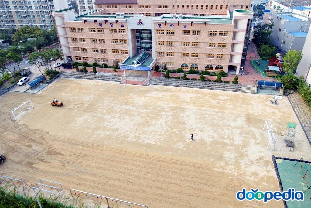 태장초등학교