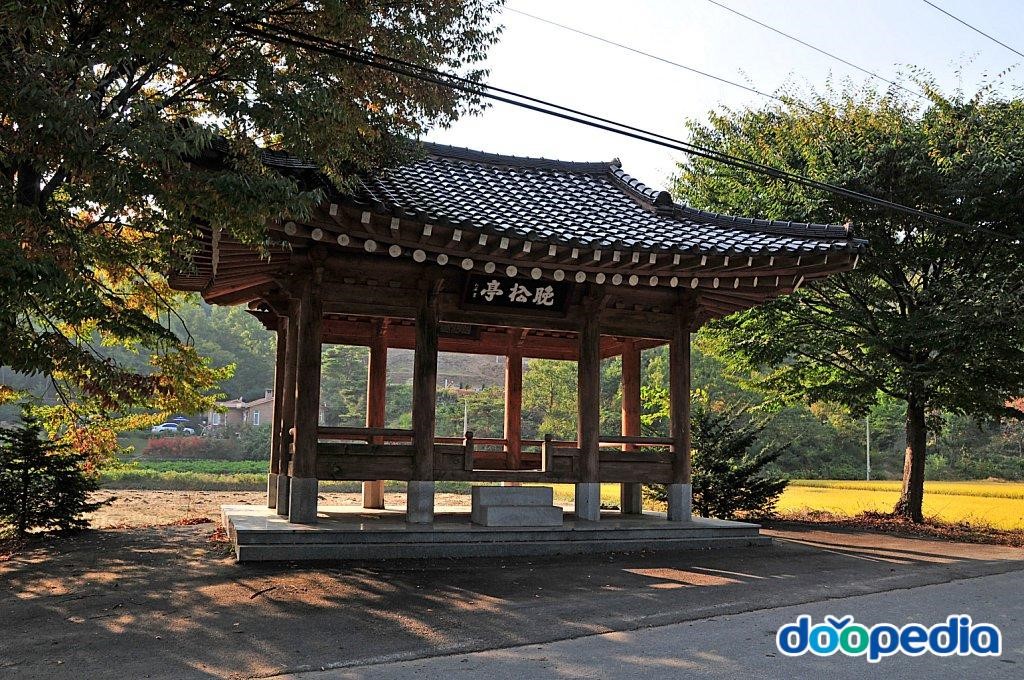 신흥리 - 신흥리 정각