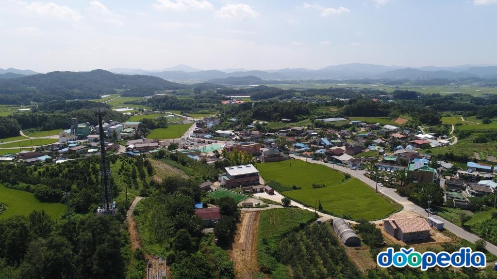 영순면