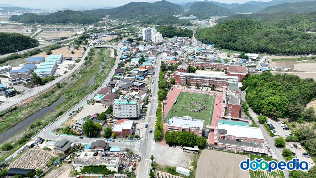 장천면