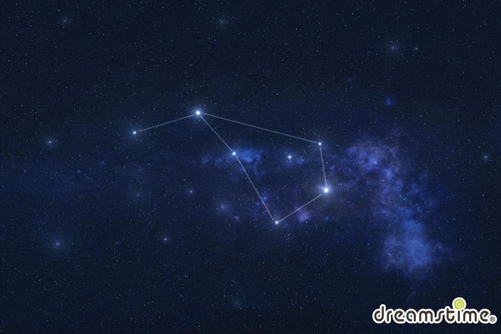 날치자리