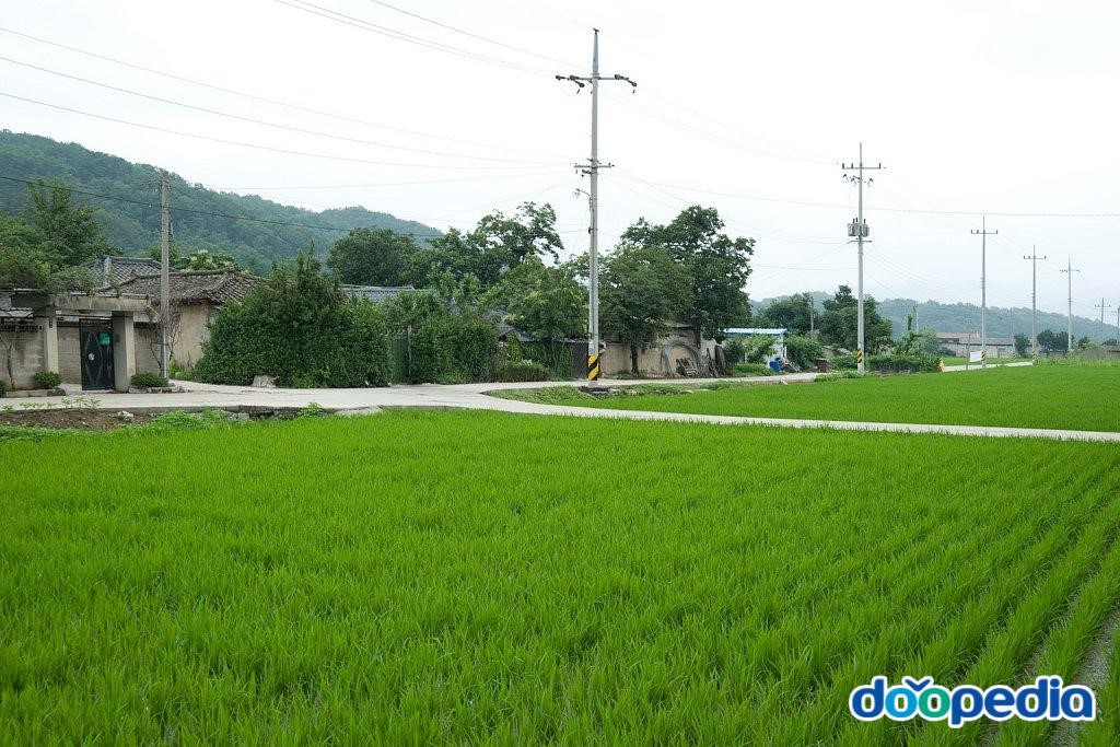 교리