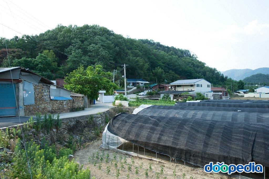 봉암리