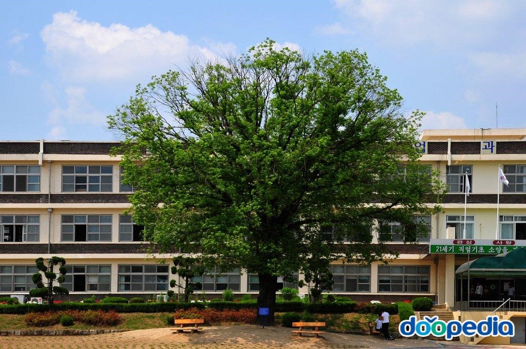 영동산업과학고등학교