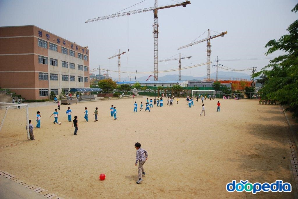 천안용곡초등학교