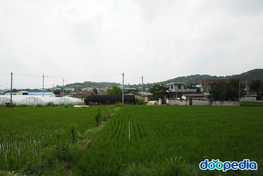 장산리