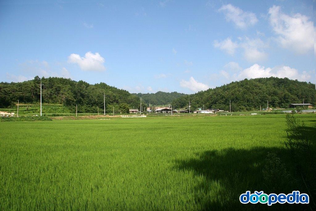 교리