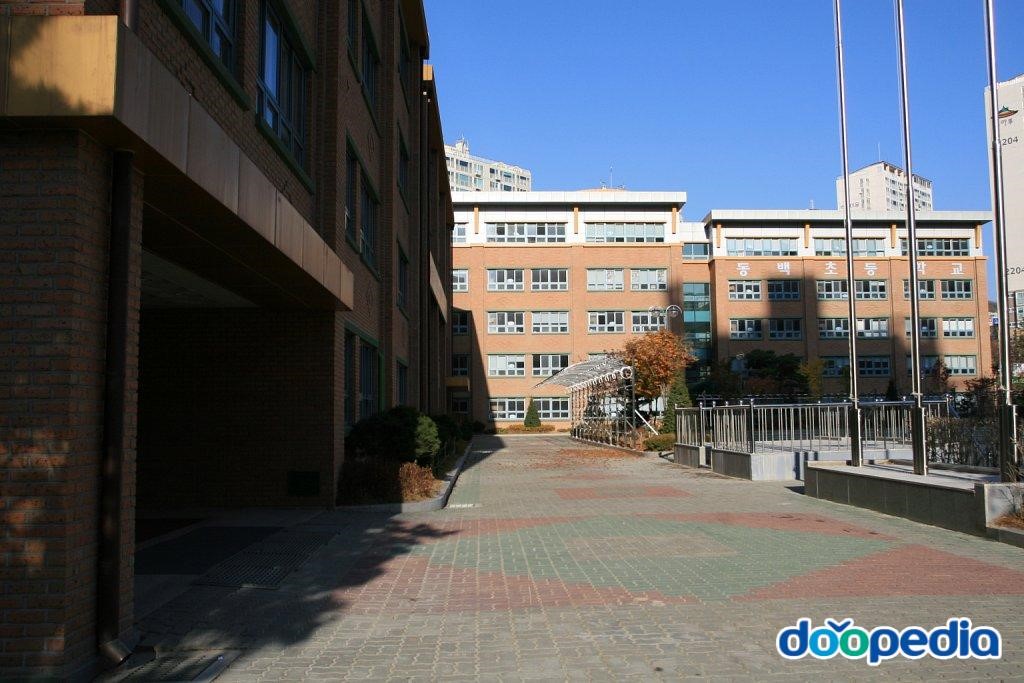 동백초등학교 - 용인동백초등학교