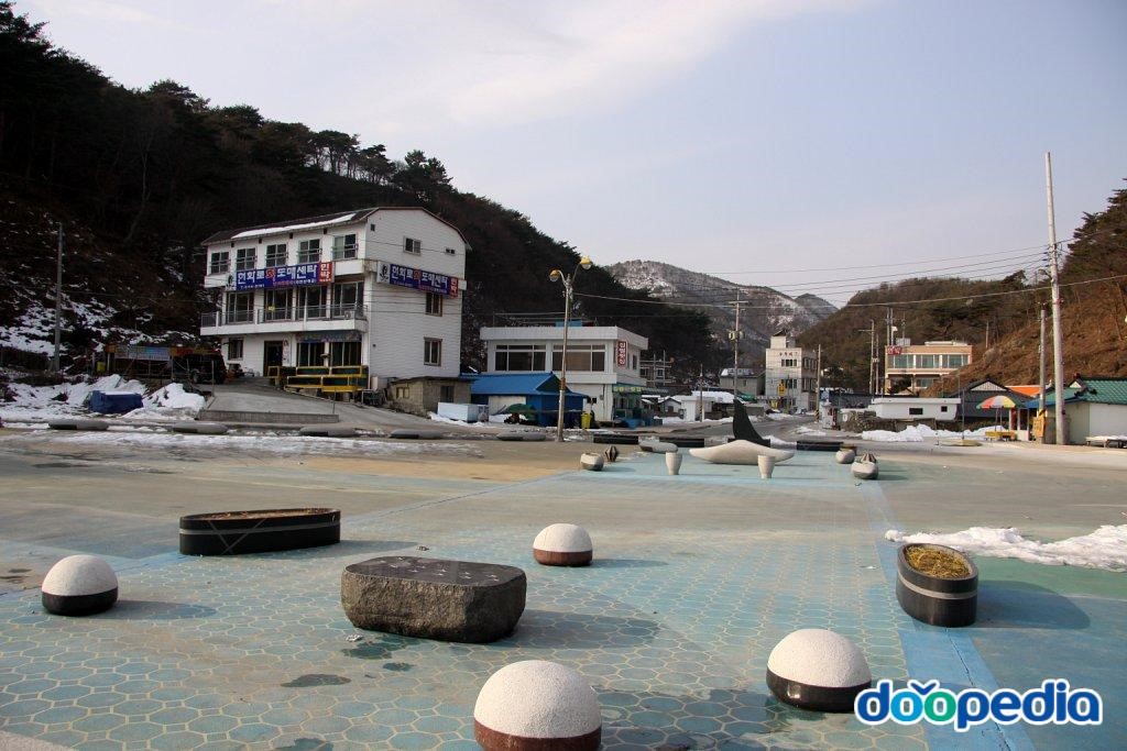 심곡항