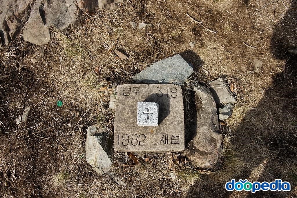 장육산 - 장육산 삼각점
