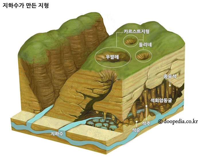 용식작용 - 용식작용 본문 이미지 1