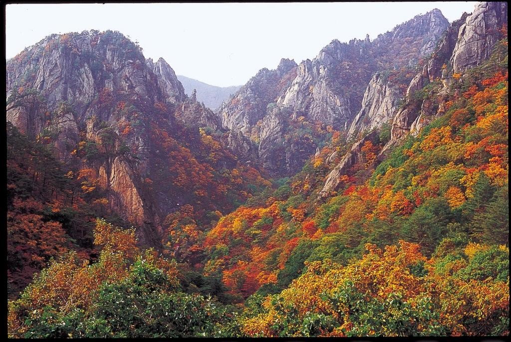 주전골