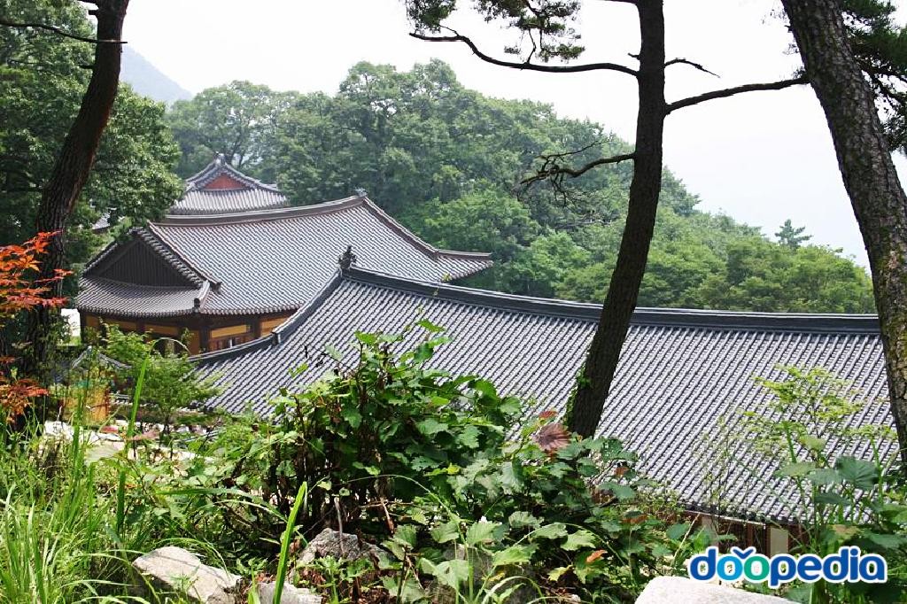도리사