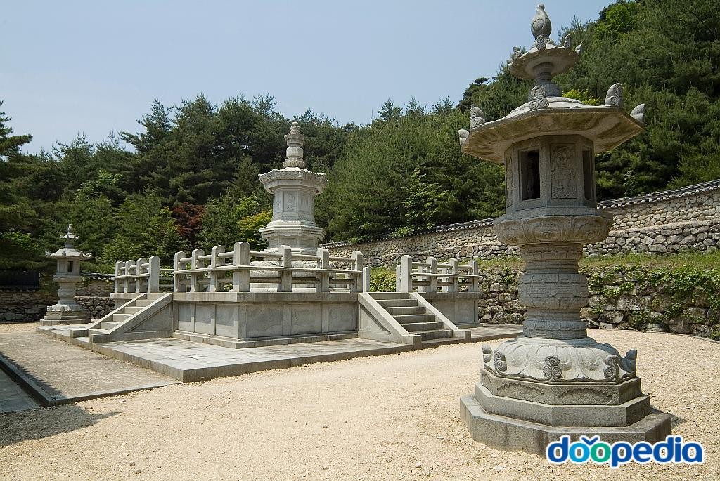 도리사