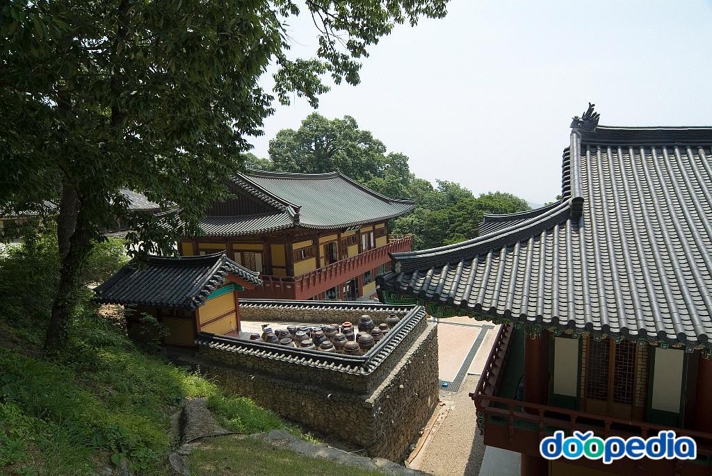 도리사