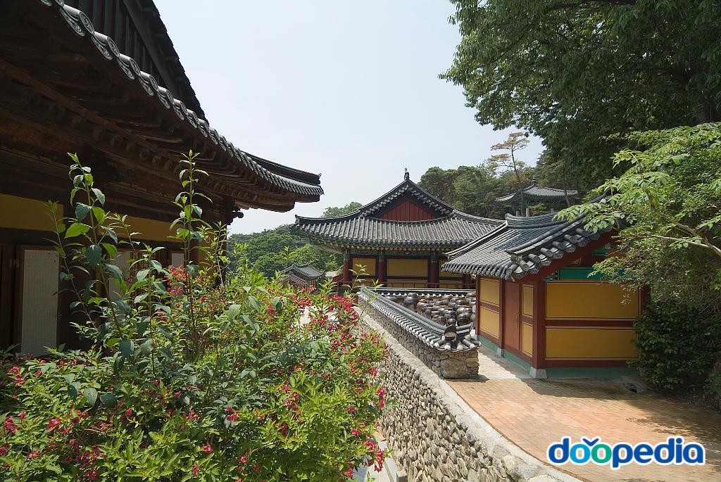 도리사