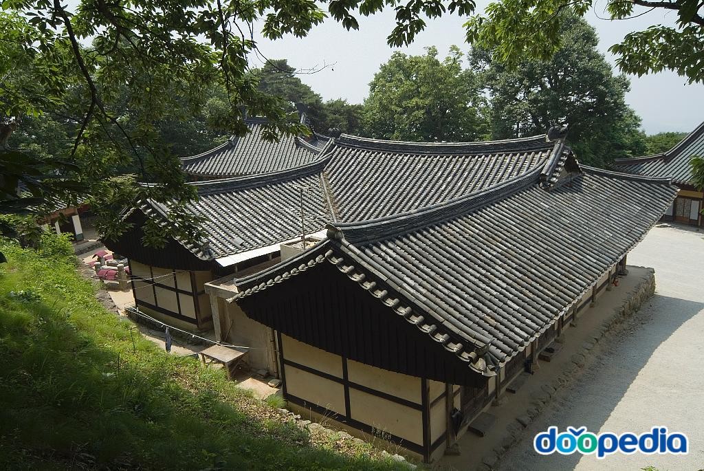 도리사