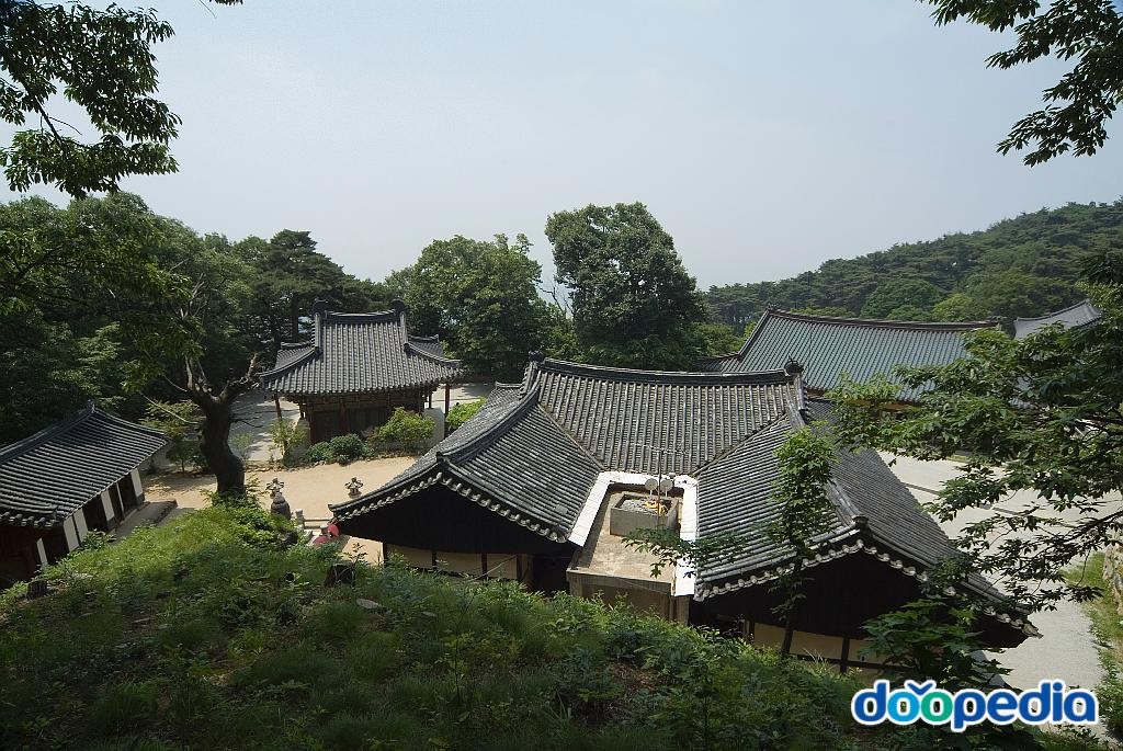 도리사