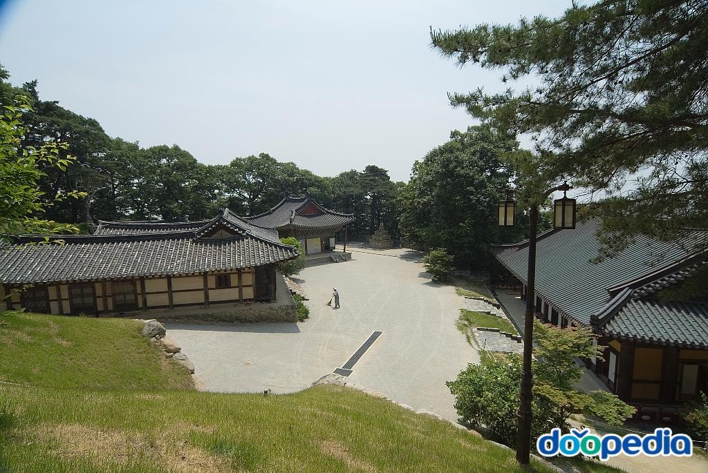 도리사