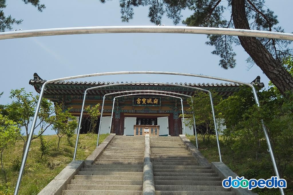도리사