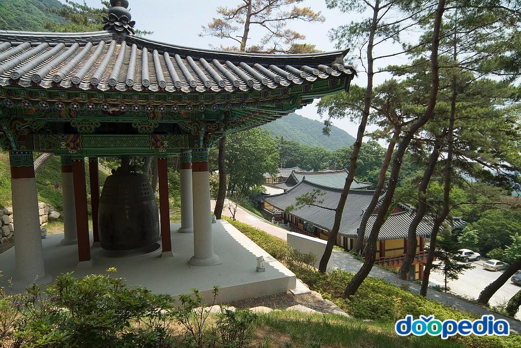 도리사