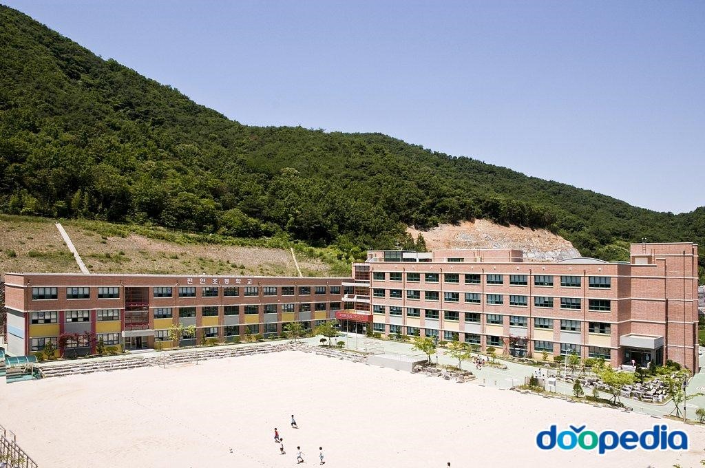전안초등학교