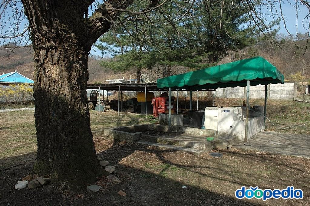 삼산초등학교 중초분교장 - 삼산초등학교 중초분교