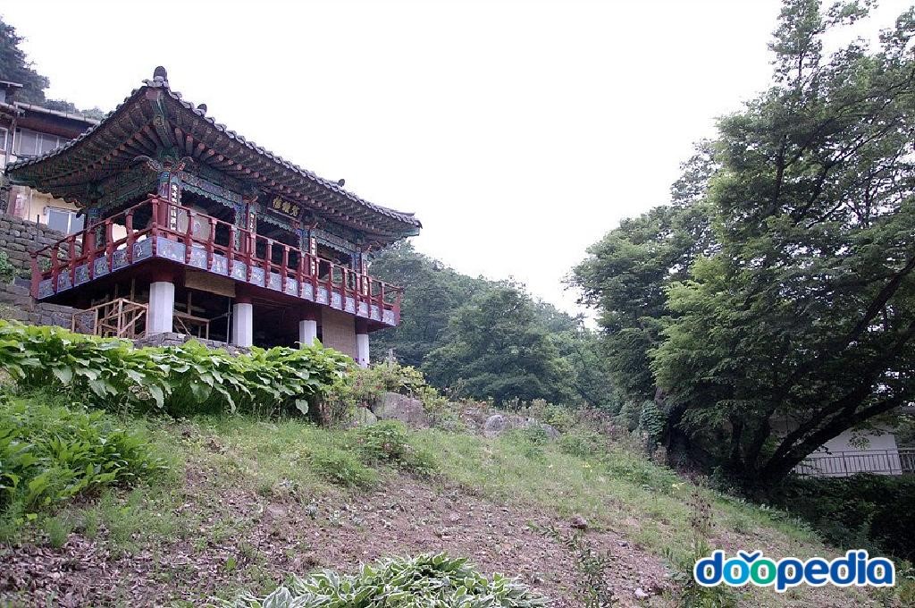천안 안서동 느티나무 - 안서동 느티나무