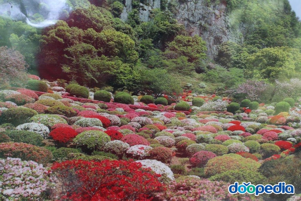 미후네야마 라쿠엔 - 다케오 미후네야마 라쿠엔