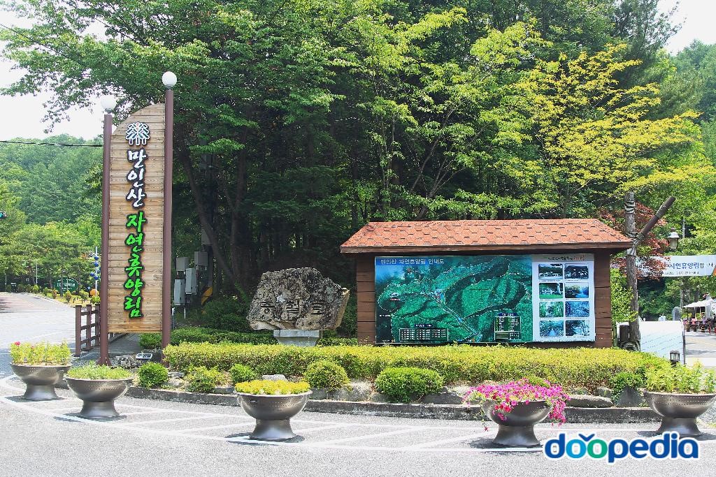 만인산 - 만인산 자연휴양림