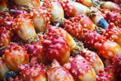 멍게