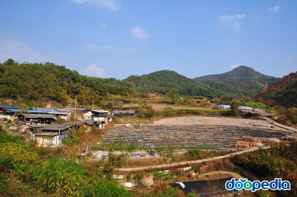 위리