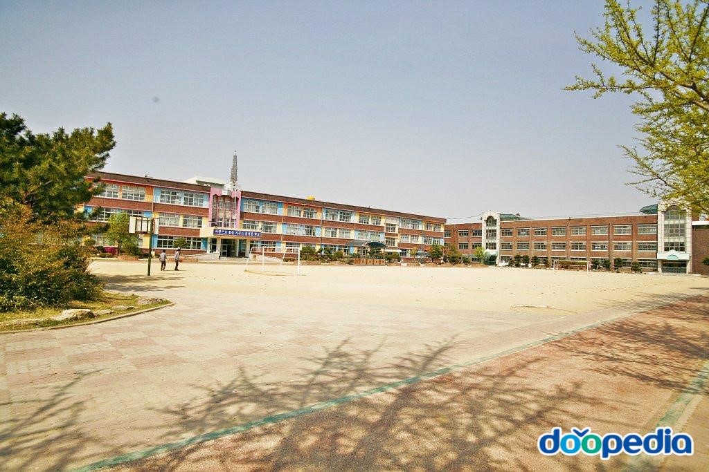 조치원교동초등학교 - 조치원 교동초등학교