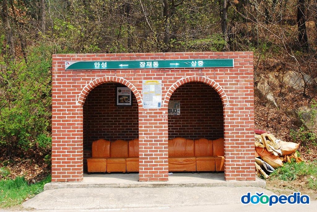 장죽리 - 장죽리 장죽동버스정류장