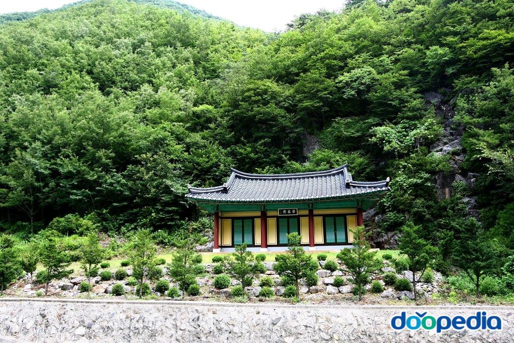 대이리